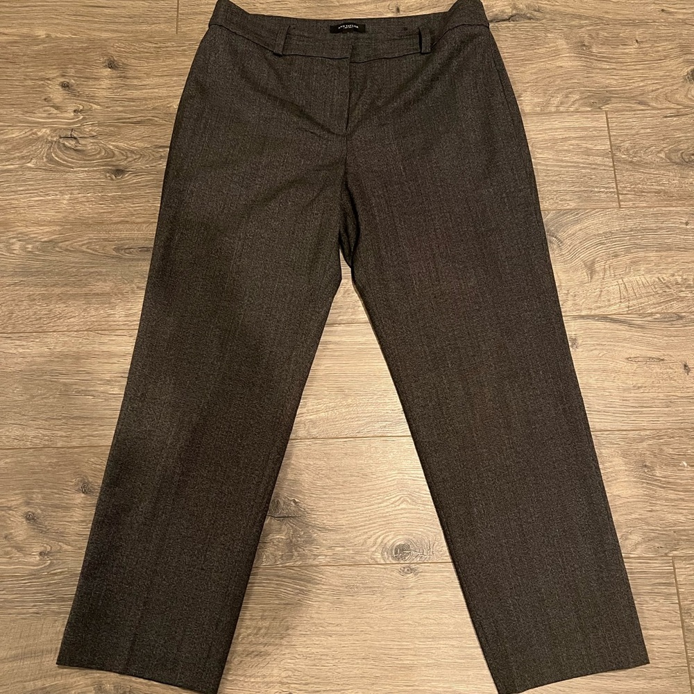 Ann Taylor dress pants